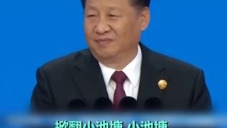 【鬼畜】习包子唱起了清单DISCO